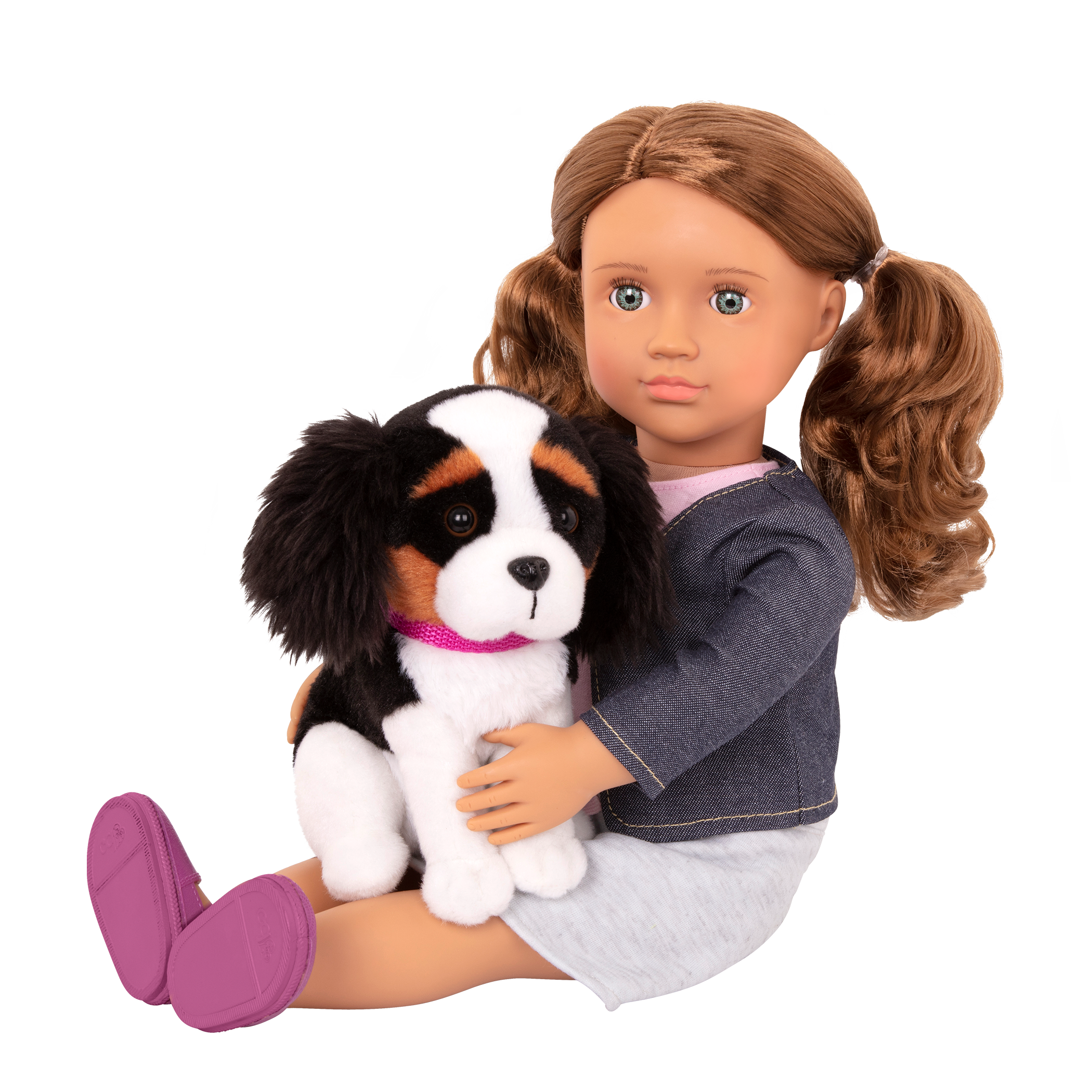 18-inch doll with brown hair, turquoise eyes, travel accessories and Bernese mountain dog plushie