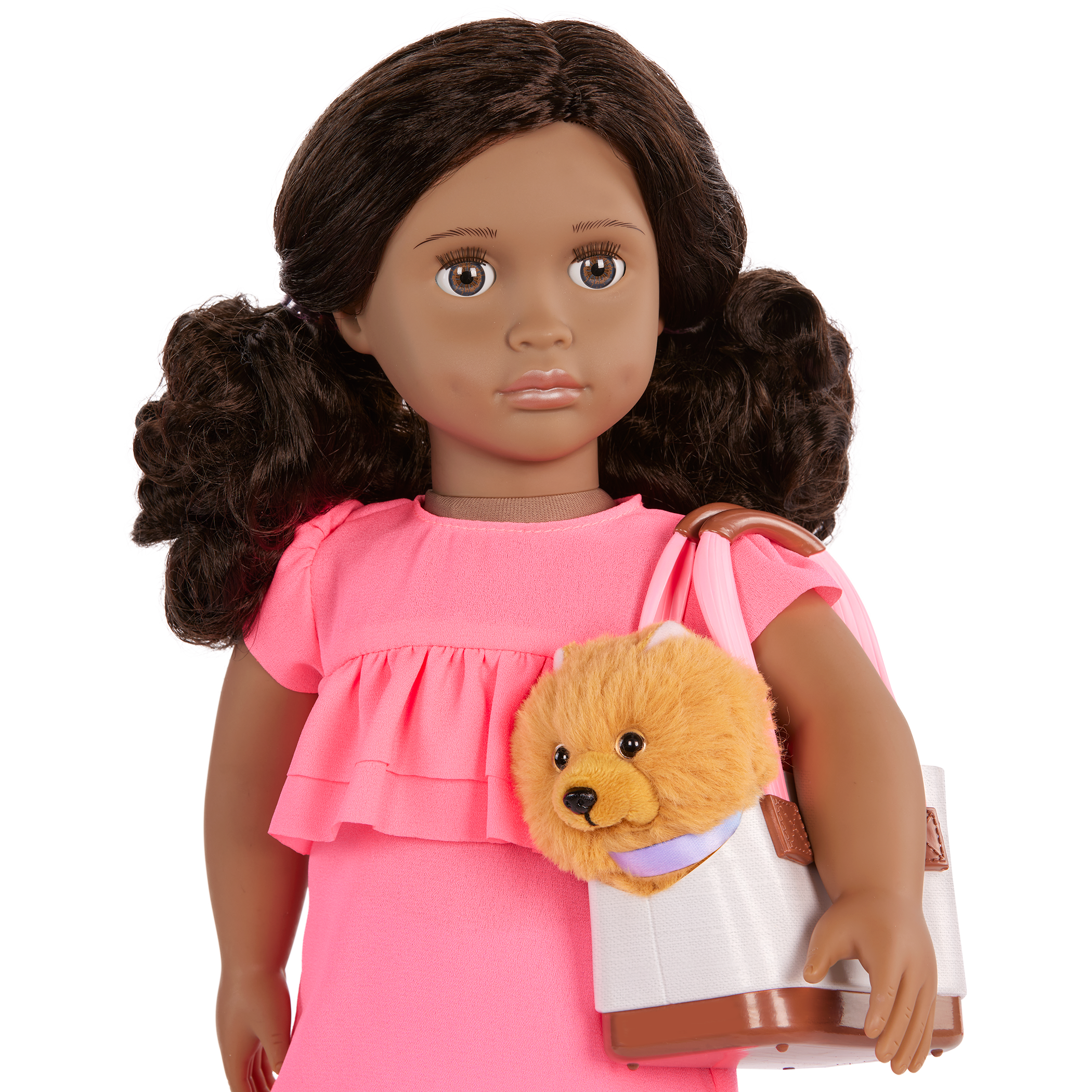 Our Generation 46 cm Doll Ayanna and her pet dog Goldie and dog accessories