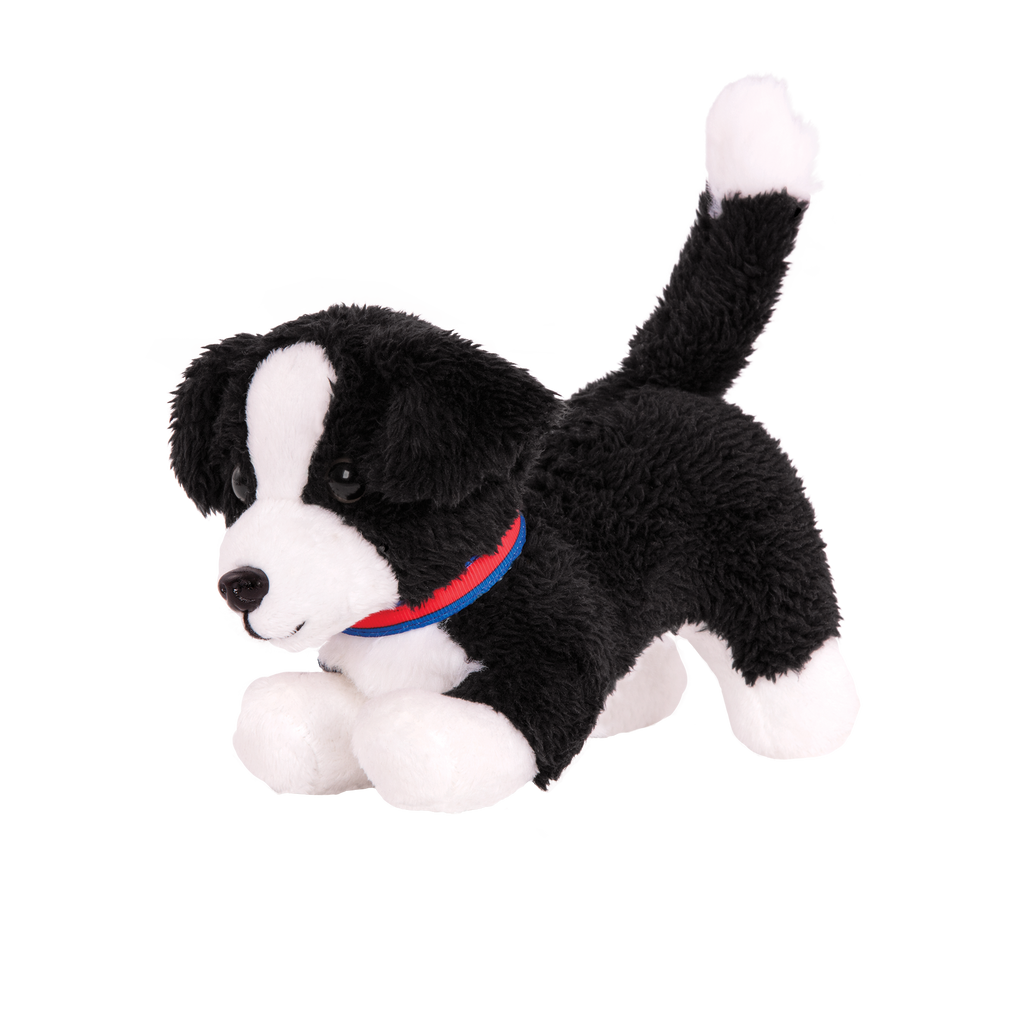 Border Collie Welpe