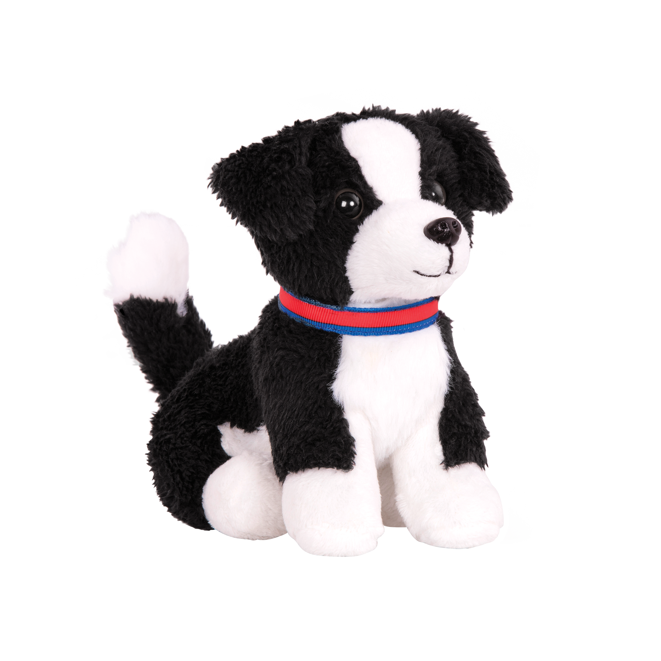 Chiot border collie